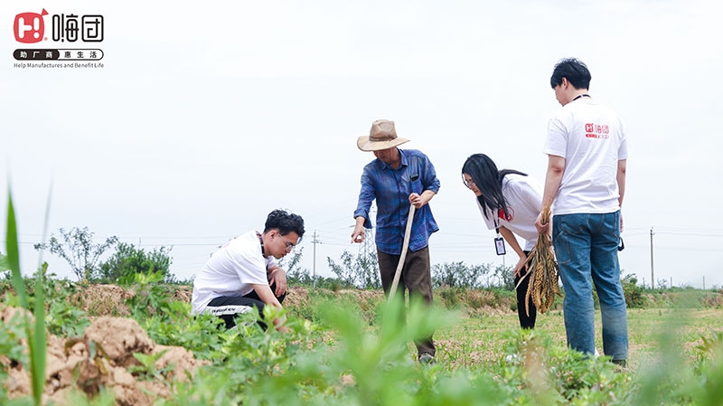 IMG_4776 IMG_4776.jpg