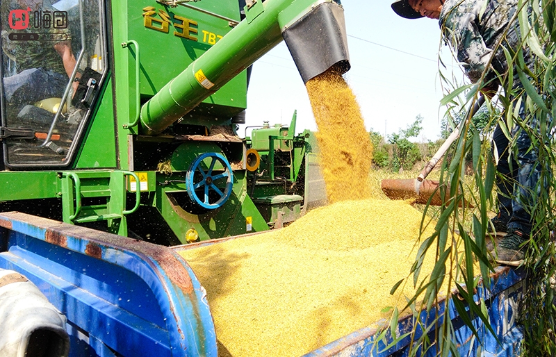 微信图片_202009241555473 微信图片_202009241555473.jpg