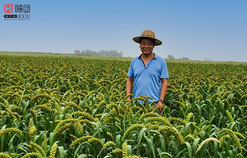 微信图片_202010131458282 微信图片_202010131458282.jpg