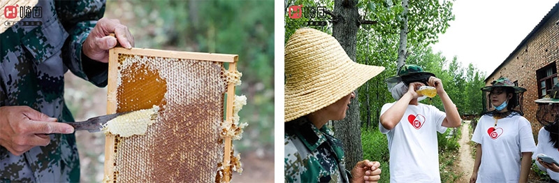 未标题-1 未标题-1.jpg