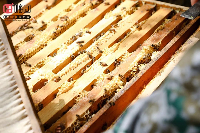 微信图片_20210701181421 微信图片_20210701181421.jpg