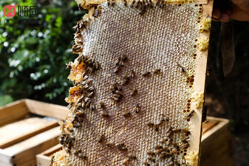 微信图片_20210701181431 微信图片_20210701181431.jpg