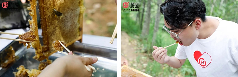 未标题-1 未标题-1.jpg