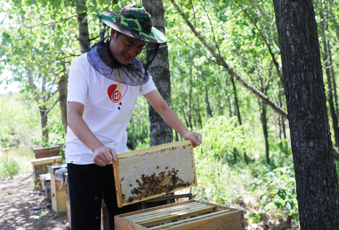 微信图片_20230208160226 微信图片_20230208160226.png