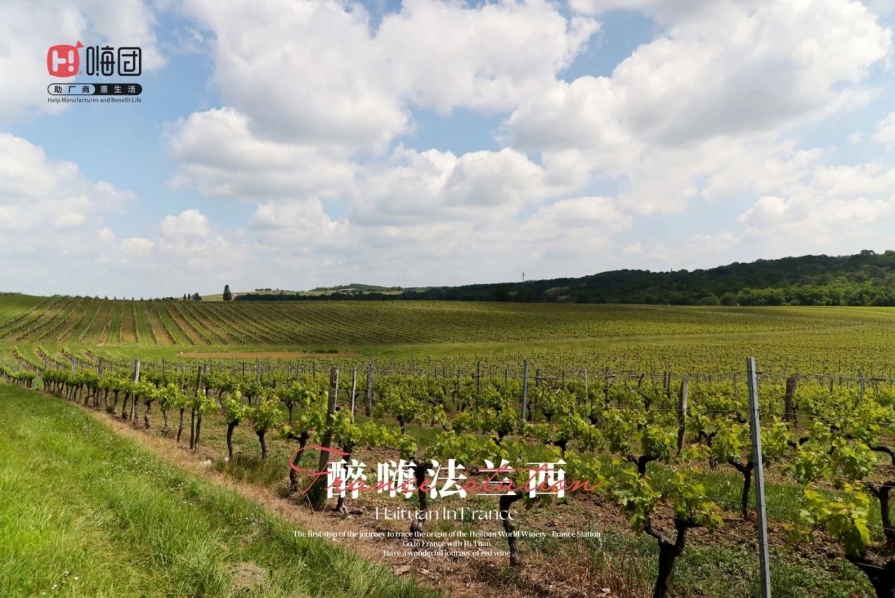 微信图片_20240703174104 微信图片_20240703174104.jpg