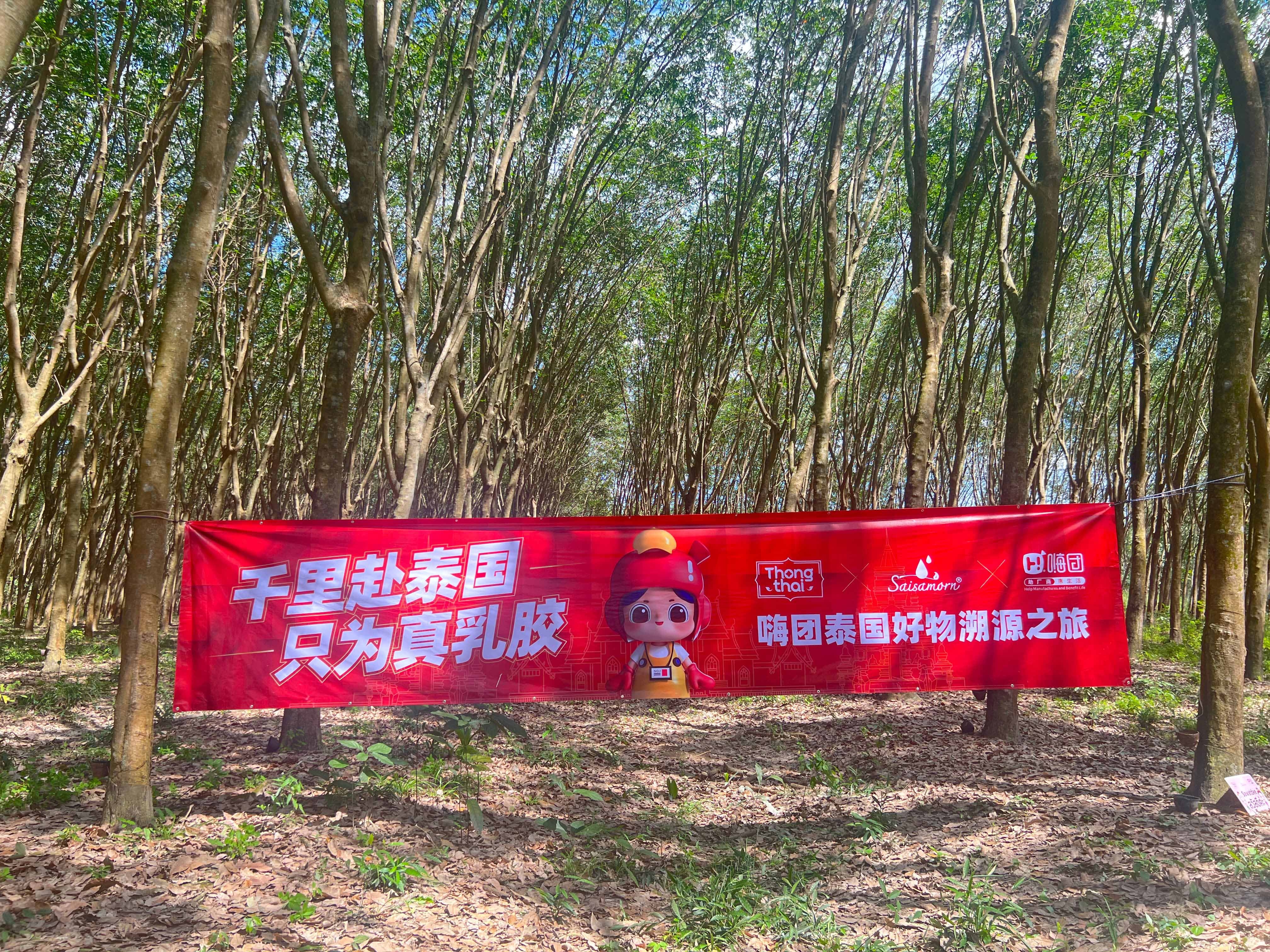 27f52ccc1104077c6cc16731064da3a 27f52ccc1104077c6cc16731064da3a.jpg