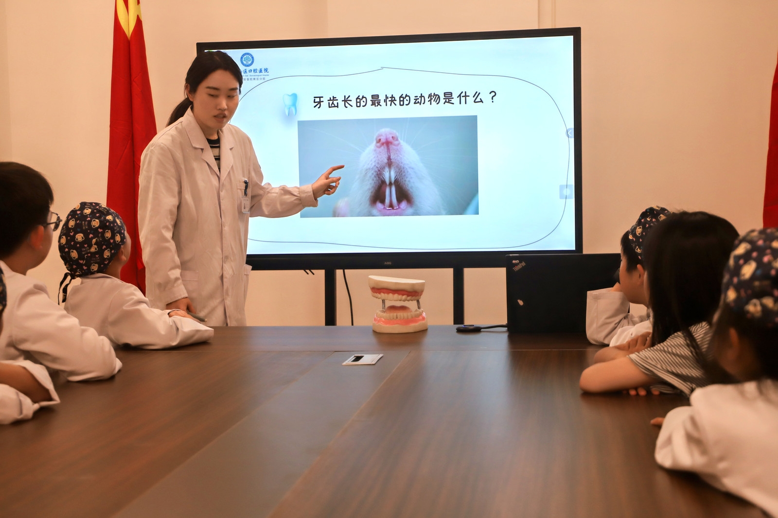 1000000566-3602477653